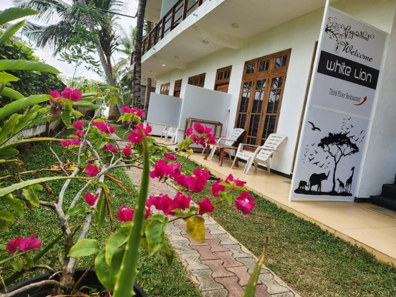 White Lion Paradise Dikwella Batigama Exterior foto